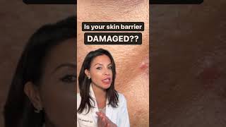 Signs your Skin Barrier is Damaged According to a Dermatologist shorts [upl. by Leak]