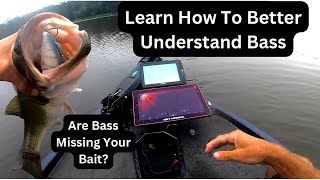 BASS MISSING YOUR BAIT Change is not always the answer [upl. by Shelby]