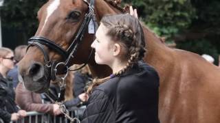 Paardenmarkt Beusichem 2016 [upl. by Eicyak]