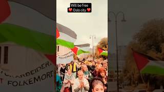 Palestinian flag hoisted at Oslo city hall  norway oslo Todays demonstration [upl. by Greene]