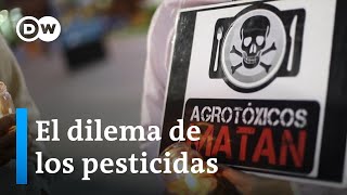 Agroquímicos ¿qué dice la ciencia  Programa completo [upl. by Castora]