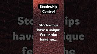 Stockwhip Control [upl. by Roque]