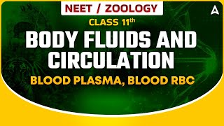 BODY FLUIDS AND CIRCULATION CLASS 11  BLOOD PLASMA  BLOOD RBC  NEET SANJEEVANI ZOOLOGY BY SANKALP [upl. by Hctub]