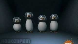 Polish Penguins of Madagascar  The Kowalski Lyrics [upl. by Buchalter130]