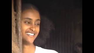 Gual Hagereseb ጓል ሃገረሰብ  Best old tigrigna music [upl. by Lechner]