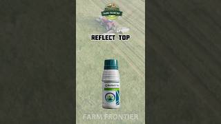 Reflect Top Syngenta fungicide  Isopyrazam 115  Difenoconazole 115 WW SC syngenta shorts [upl. by Akimit510]