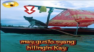 mahal ka namin mokong tyaga lang tayosealife doglover viralvideo [upl. by Brenn]