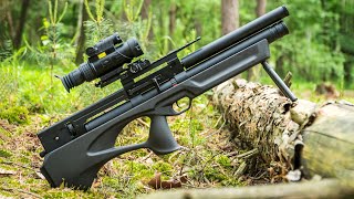 TOP 5 Best Affordable Air Rifles 2024  What No One is Telling You [upl. by Mikiso]