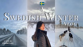 Swedish Lapland Vlog Northern Lights Dog Sledding in Kiruna amp Abisko [upl. by Enylecoj149]