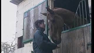 Avoir un Cheval à la maison  4 Le matériel [upl. by Chere]