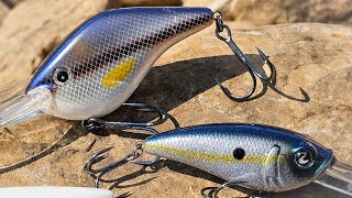 Summer Bass Fishing Crankbait VS UnderSpin [upl. by Koetke]