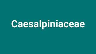 Caesalpiniaceae Meaning and Pronunciation [upl. by Enitsirt]