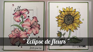 🌻⚜️ Tuto  Cartes quotÉclipsequot  2 pour le prix dune 😉 action globleland [upl. by Birdt]