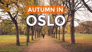 Sunny AUTUMN IN OSLO Norway [upl. by Ojahtnamas97]