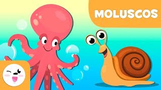 Los moluscos para niños  Animales invertebrados  Ciencias naturales para niños [upl. by Cioban]