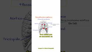 🎯 TIPS 4 FOCOS DE AUSCULTACIÓN CARDÍACA [upl. by Ahsea191]