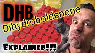 DHB Dihydroboldenone Explained [upl. by Adnarim]