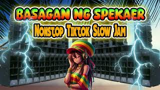 Nonstop Basagan Ng Speaker Tiktok Reggae Mix Slow Jam Beat [upl. by Nikoletta]