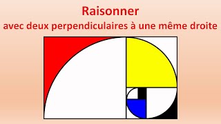 6️⃣ Raisonner avec deux perpendiculaires à une même droite [upl. by Nerti]