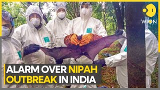 Nipah Virus के साथ भारत में फिर Corona जैसी दहशत  Kerala  Kozhikode  Latest News  shorts  N18S [upl. by Gustavus]