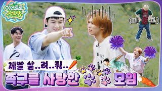 아스트로 세상 언제 끝나 그냥… 졌어 우리가🔥 드르륵 탁…⏪ EP3 [upl. by Kosel]