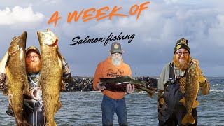 A Week Of Michigan Salmon Fishing [upl. by Llennej7]