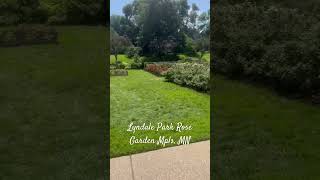 Lyndale Park Rose Garden In Minneapolis MN sellhighbuylowe exploremn realestateagent [upl. by Shepperd77]