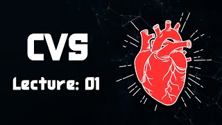 Hemodynamics  1  final CVS physiology lecture 01 [upl. by Adnilrem]