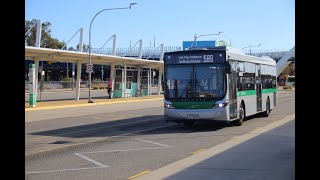 busses of nsw RARE BUS GLENORIE LIVERY [upl. by Nessnaj227]