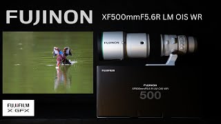 Fujifilm Xh2s 4K120P XF500mmF56R Sample [upl. by Gregson]