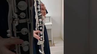 宝島ソロbassclarinet バスクラリネット clarinet クラリネット [upl. by Hcir]