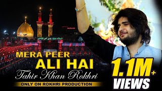 New Qasida Mera Peer Ali Hai  Tahir Rokhri  2022 [upl. by Helen]