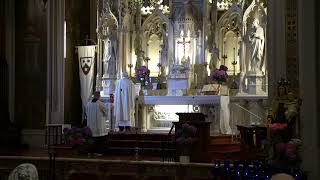 Mass at 12pm – in Extraordinary Form – St Elizabeth Queen and Mother Carmelite Rite [upl. by Odnuges325]