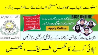 PEEF Scholarship Program 2024 New Opportunity In Pakistan How to Apply StepbyStep Guide [upl. by Karita632]