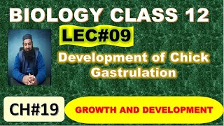 Development of Chick I Gastrulation I Chapter 19 I Growth and Development I Lec 09 [upl. by Ezitram]