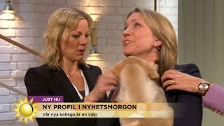 Hoppsan  här tappar hon valpen i direktsändning  Nyhetsmorgon TV4 [upl. by Dnallor323]