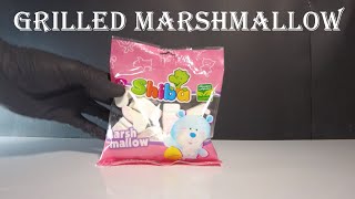 Sizzling ASMR Grilling Marshmallows with a Lighter 🔥 [upl. by Airenahs510]