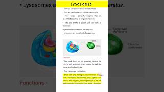 Lysosomes Structure and Function [upl. by Kirk]