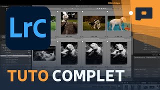 📷 TUTO  Les bases de Lightroom pour débutant complet [upl. by Kruter368]