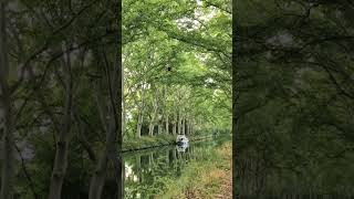 On the wire  Canal du midi de Rangueil [upl. by Nospmoht]