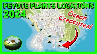 Peyote Plants Locations Map Waterplants Version May 2024  GTA 5 Online [upl. by Hyacintha448]