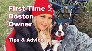 FirstTime Boston Terrier Owner Shares Tips amp Advice [upl. by Marni]