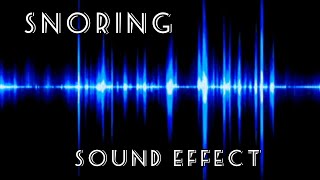 SNORING SOUND EFFECT [upl. by Rasec]