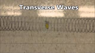 Transverse and Compression Waves Class Labs on Oct 27 and 28 [upl. by Adnohral]