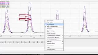 LabSolutions LCGC Workstation Basic Data Analysis [upl. by Nahamas]