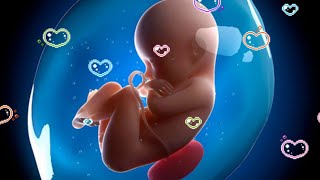 Pregnancy Music ► Mozart Effect for Baby ► Classical Music for Babies in Womb Part 1 [upl. by Yerg]