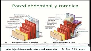 Abordajes laterales a la columna dorsolumbar [upl. by Comfort]