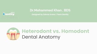 Heterodont vs Homodont [upl. by Grethel327]