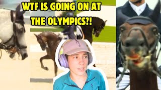 Paris Olympic Equestrian Sports A WELFARE DISASTER  Horse Behaviour Specialist Speaks Out [upl. by Allicsirp]