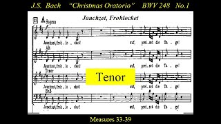 BachTenorBWV248 No 1Jauchzet Frohlocketwmv [upl. by Perot281]